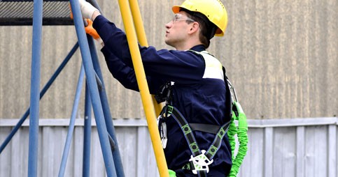 Worker with Harness on Ladder